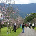 2023.01-03月.社區步道.陽光公園