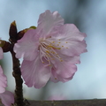 2023.01-03月.社區步道.陽光公園