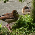 2024動物園