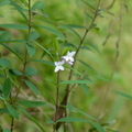 2024.01-03月.植物園