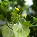 2024.04-06月.植物園