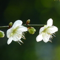 2014陽明山國家公園