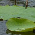 2023.03-06月.植物園