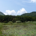 2023.08月.陽明山(二子坪.冷水坑.大屯自然公園....)