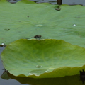 2023.03-06月.植物園