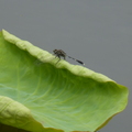 2023.03-06月.植物園