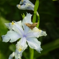 2022.05.08新生園區