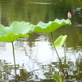 2023.03-06月.植物園