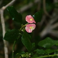 2021.12.09新生園區