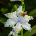 2022.05.08新生園區