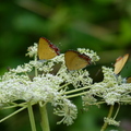 2014陽明山國家公園