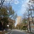 2020.01-.02/19月.台灣大學