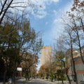 2020.01-.02/19月.台灣大學