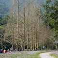 2015福山植物園