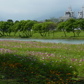 2015福山植物園