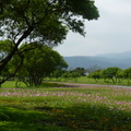 2015福山植物園