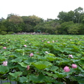 2024.04-06月.植物園