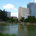 台灣大學(2019.11.9-12.28)