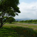 2015福山植物園