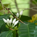 2024.04-06月.植物園