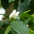 2024.04-06月.植物園