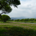 2015福山植物園