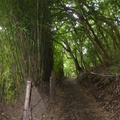 2023.06.19北投.前山公園.橫嶺古道