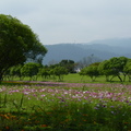 2015福山植物園