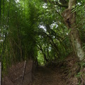 2023.06.19北投.前山公園.橫嶺古道