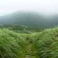 2014陽明山國家公園