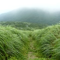 2014陽明山國家公園