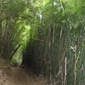 2023.06.19北投.前山公園.橫嶺古道