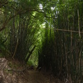 2023.06.19北投.前山公園.橫嶺古道