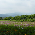 2015福山植物園