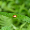 2016植物園