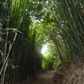 2023.06.19北投.前山公園.橫嶺古道