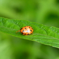 2016植物園