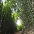 2023.06.19北投.前山公園.橫嶺古道