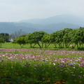 2015福山植物園