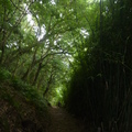 2023.06.19北投.前山公園.橫嶺古道