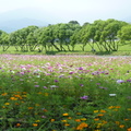 2015福山植物園