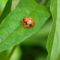 2016植物園