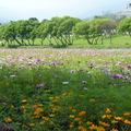 2015福山植物園