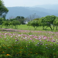 2015福山植物園