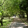 2016福山植物園