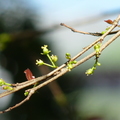 2017植物園