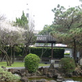 2023.01.12逸仙公園.中正紀念堂賞梅