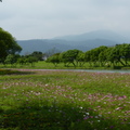 2015福山植物園