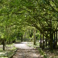 2016福山植物園