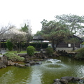 2023.01.12逸仙公園.中正紀念堂賞梅